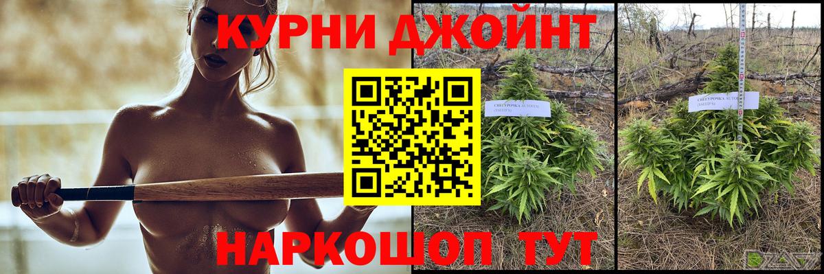 Бошки Шишки VHQ Волхов